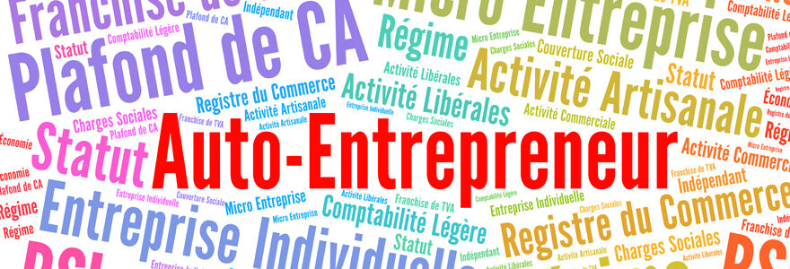 statut d’auto entrepreneur